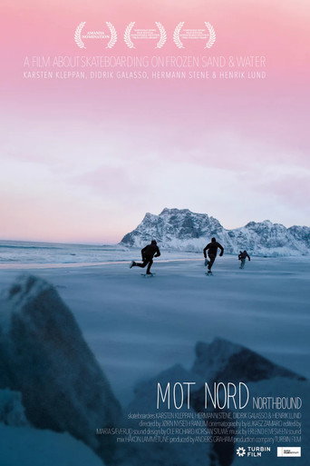 Northbound: Skateboarding on Frozen Sand (2015)