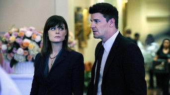 Cena de The Bikini in the Soup