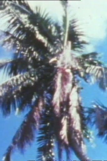 Les hommes et les cocotiers de Coëtivy (1977)