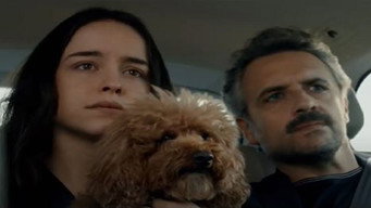 A Normal World (2020)