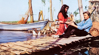 Kader Arkadasi (1981)