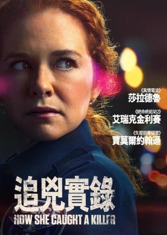 追凶实录