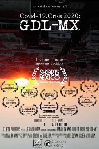 COVID 19 Crisis 2020 GDL-MX poster