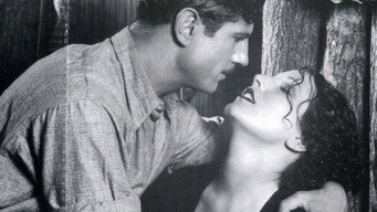 Bewitching Kisses (1937)