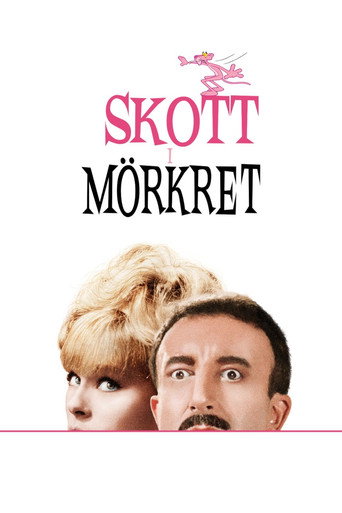 Skott i mörkret
