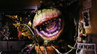 Little Shop of Horrors backdrop 2