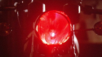 #13 I Bought a Vampire Motorcycle
