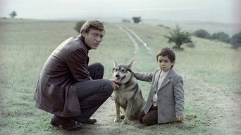 Мужики! (1981)