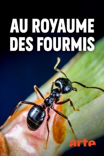 Au royaume des fourmis en streaming 