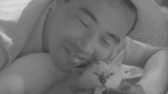 猫と庄造と二人のをんな