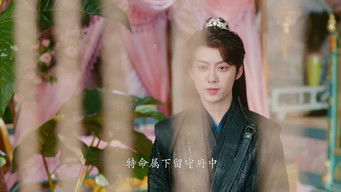 Episode 25 — Episode 25