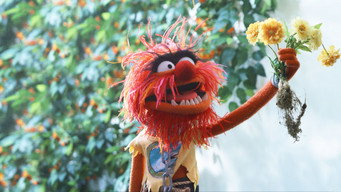 #30 The Muppets Mayhem