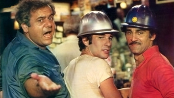 Bloodbrothers (1978)