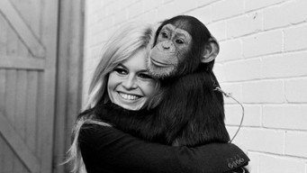 Bardot (2025)