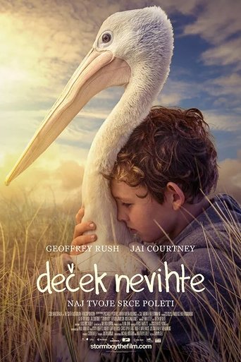 Deček nevihte