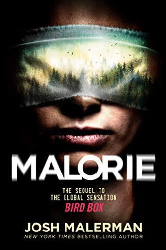 Untitled Bird Box Sequel