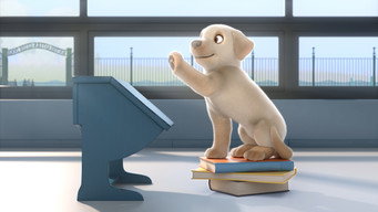 Pip (2018)