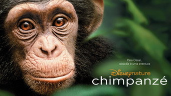 Cena 2 de Chimpanzé