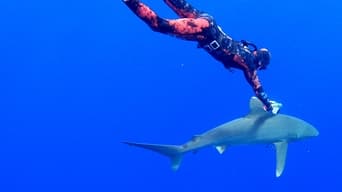 #2 World's Most Dangerous Shark