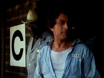 Episódio A Prisão da série O Incrível Hulk