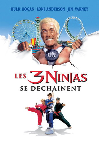 Ninja Kids 4 : Les 3 Ninjas se déchaînent