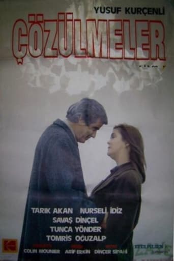 Poster of Çözülmeler