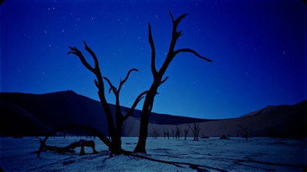 Самсара (2011)