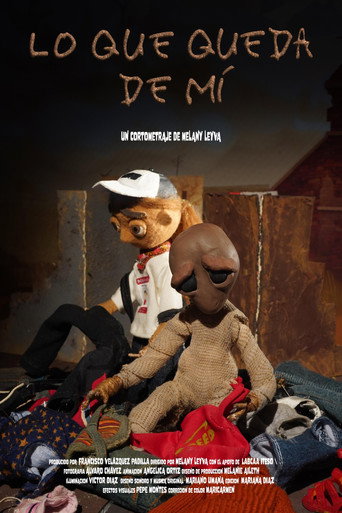 Poster film Lo que queda de mi