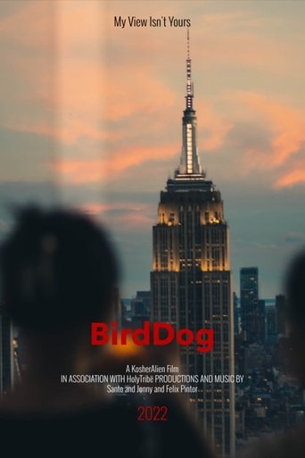Bird Dog poster
