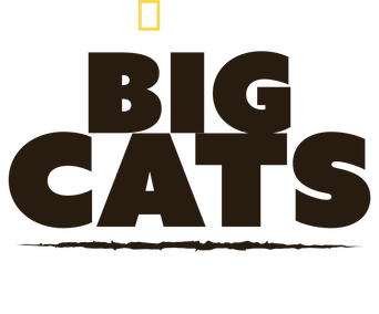 Big Cats: An Amazing Animal Family logo