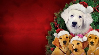 Santa Buddies backdrop 8