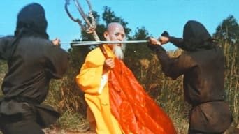 #2 Shaolin vs. Ninja