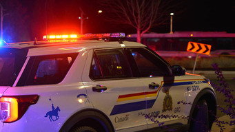 Night Coppers (2022- )