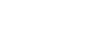 Salsa logo