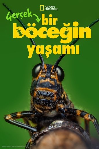 5P0dUweNIEJCOcYTJkuCyDhoaQO.jpg