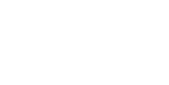 Love Without Borders logo