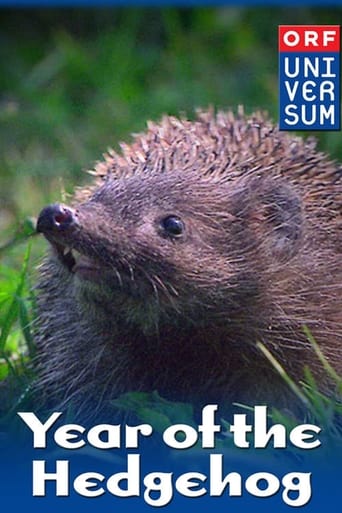 Poster för Year of the Hedgehog