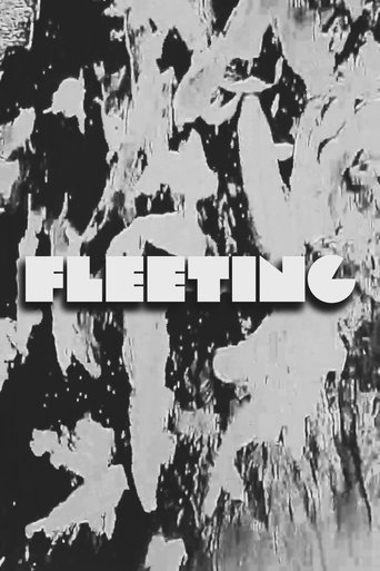 FLEETING (2025) FLEETING (2025)