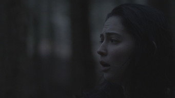 The Clearing (2024)