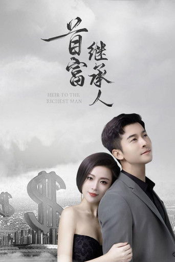 首富继承人 poster
