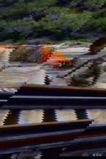 The City of Clear Waters