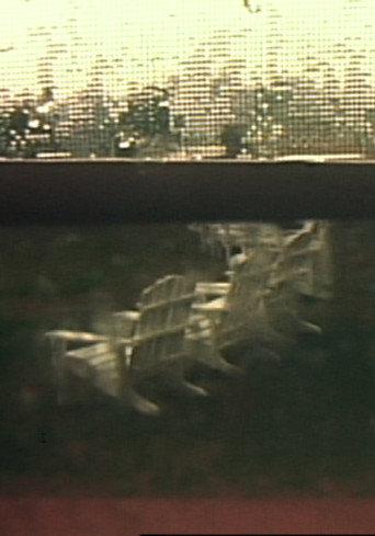 Group VIII: Hidden Tracings/Exposed Fragrances (1980)