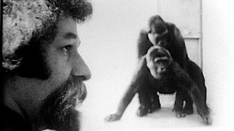 Primate (1974)