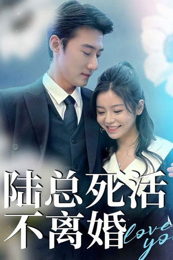 陆总死活不离婚 poster