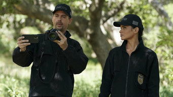 Episode 21 — Birds of a Feather