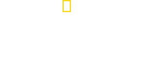Meet the Chimps logo