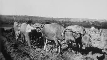 Ploughing (1896)