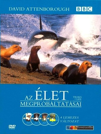 Az élet megpróbáltatásai