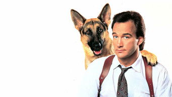 Galeria 3 - Superagente K-9