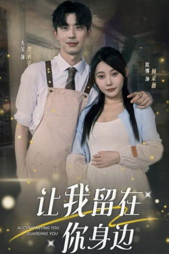 让我留在你身边 poster